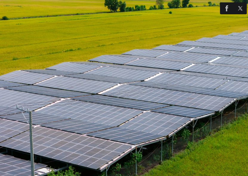 Trang trại lắp điện mặt trời có thể thu lợi nhuận một tỷ đồng mỗi ha